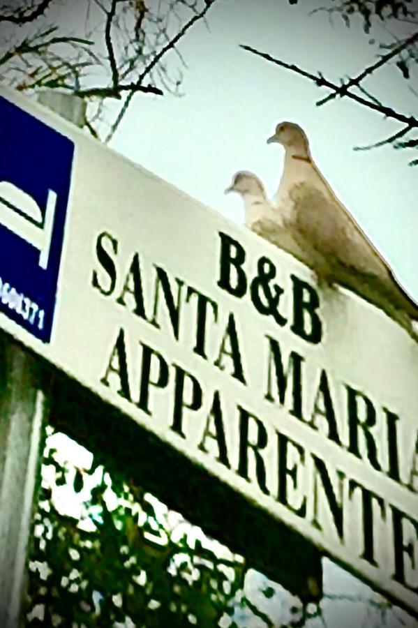 Monolocali B&B Santa Maria Apparente 시비타노바 마르셰 외부 사진